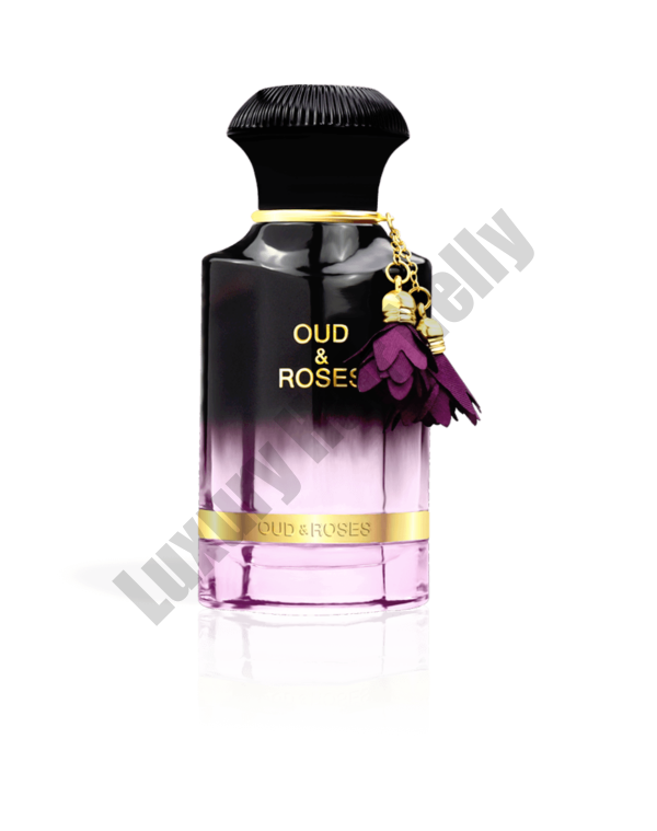 viber_image_2024-02-22_12-08-28-215 viber_image_2024-02-22_12-08-28-215